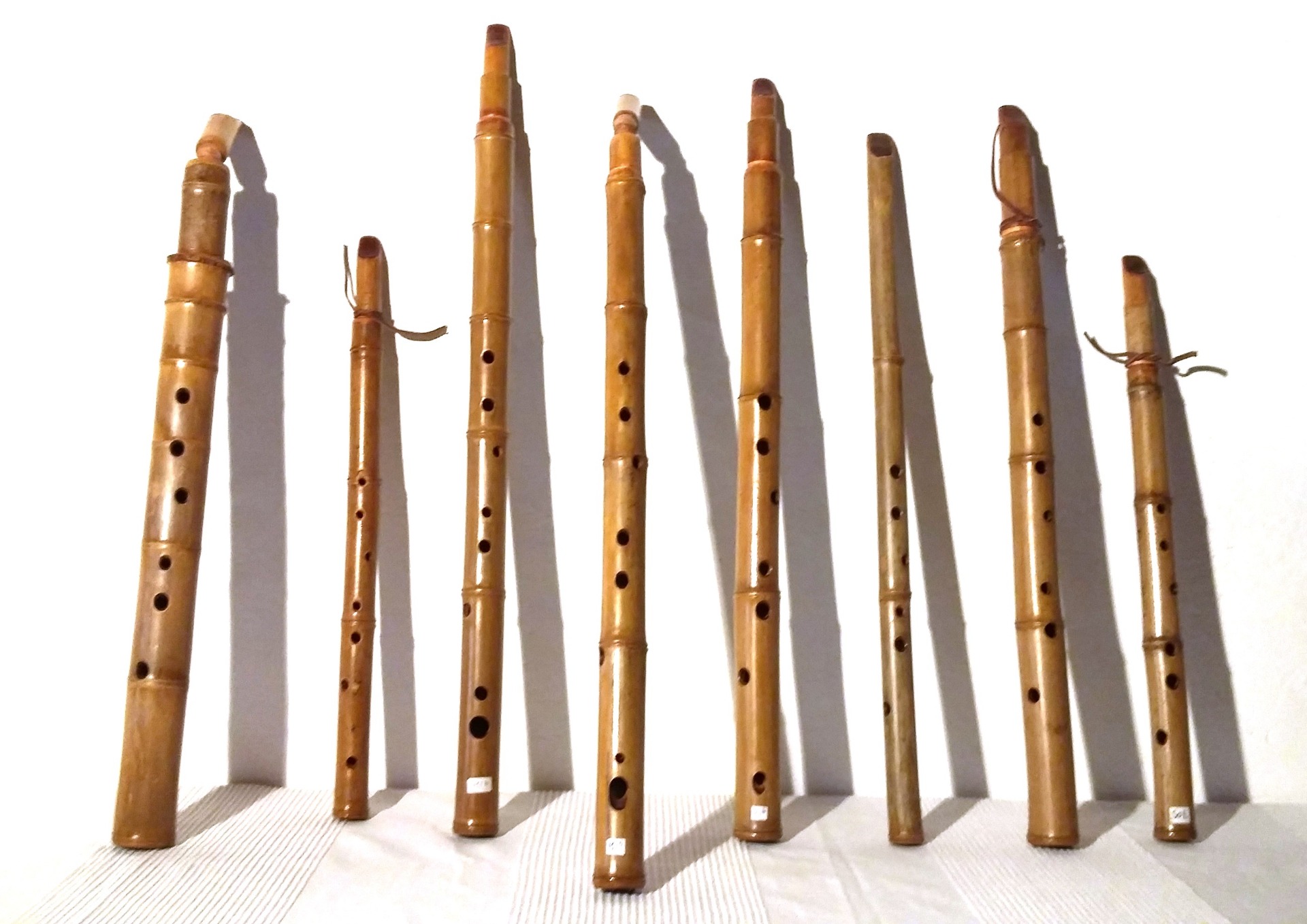 Bamboo in Italy (Florence) in Italien